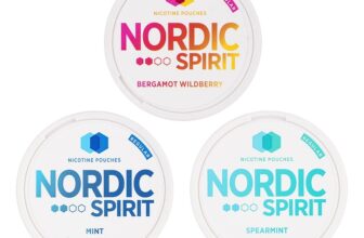 Nordic Spirit Nic Pouches – £4.99