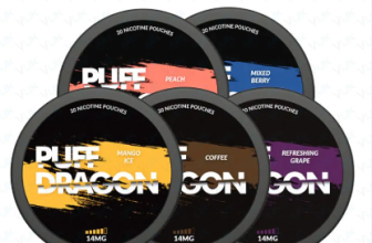 Puff Dragon Nic Pouches 49p