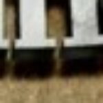 Profile picture of Leigh Hayward