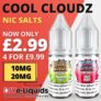 Cool Cloudz Salts E-Liquid 4x 10ml Bundle – £9.99