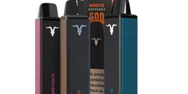 Ignite 600 puffs Disposable Vape £4.00