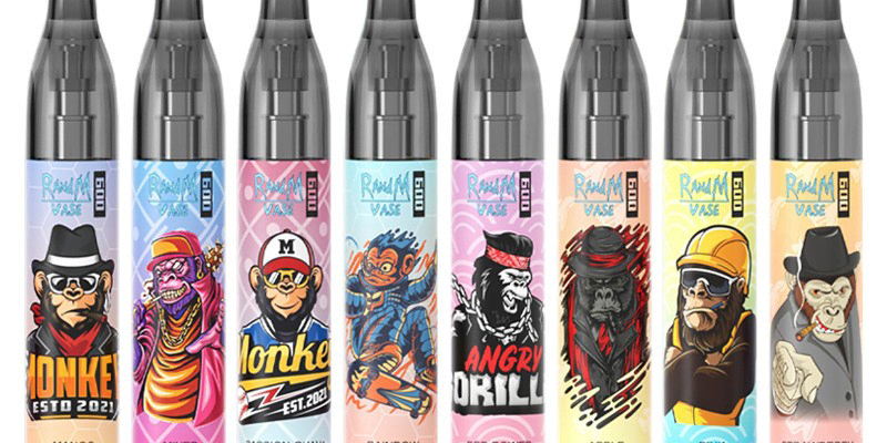 R and M Vase Disposable Vape Kit 600 Puffs – £3.39