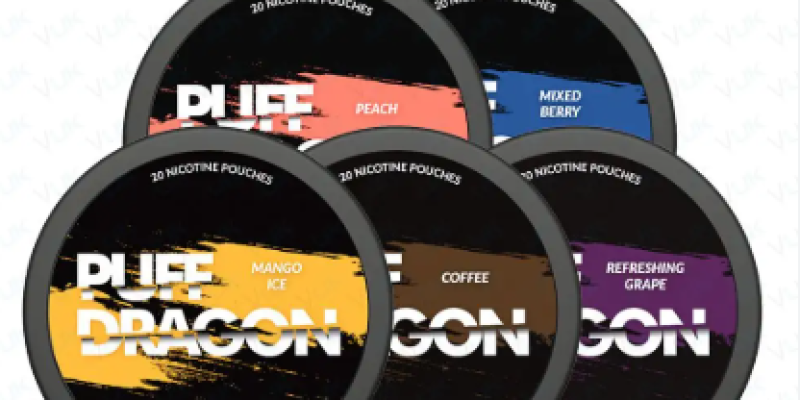 Puff Dragon Nic Pouches 49p