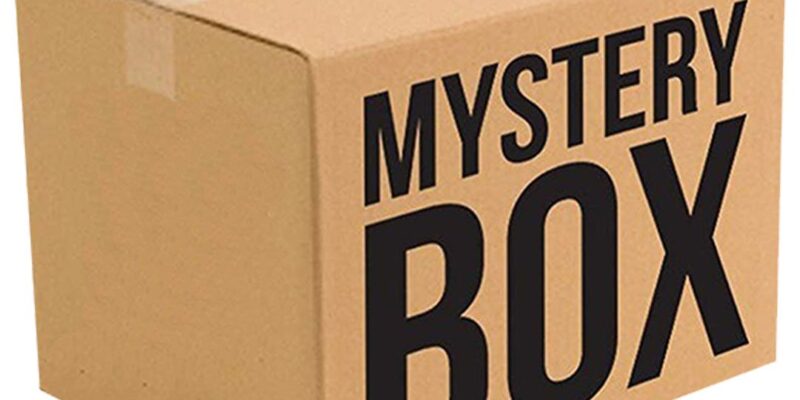 Mystery 10 Pack Disposable Vape – £35.00