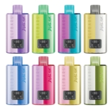 Elf Bar Dual 10K Prefilled Pod Kit – £8.50