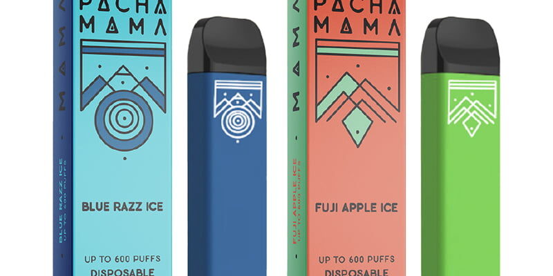 Pacha Mama Disposable Vape – £3.99