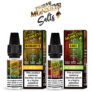 Twelve Monkeys 10ml Salt E Liquid – £0.99