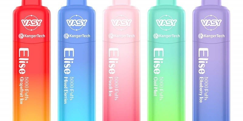 VASY Elise 5000 Disposable Vape – £4.39